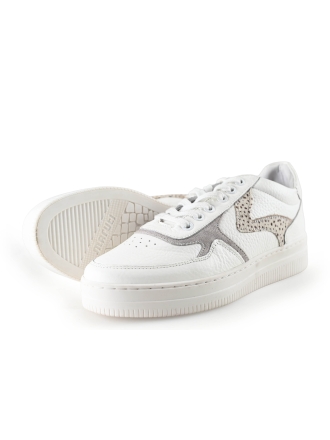 Maruti Sneaker