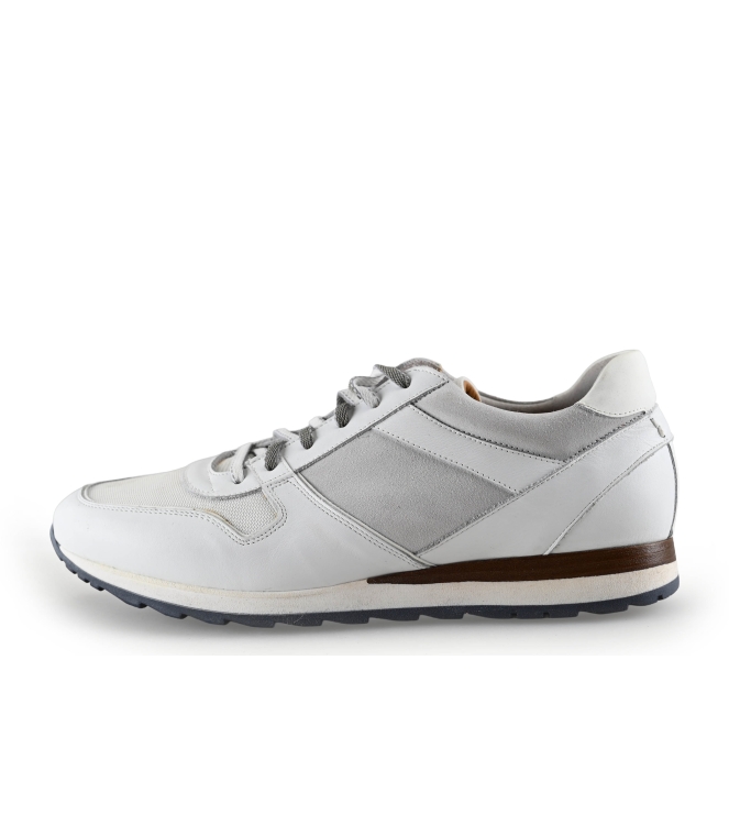Greve Sneaker
