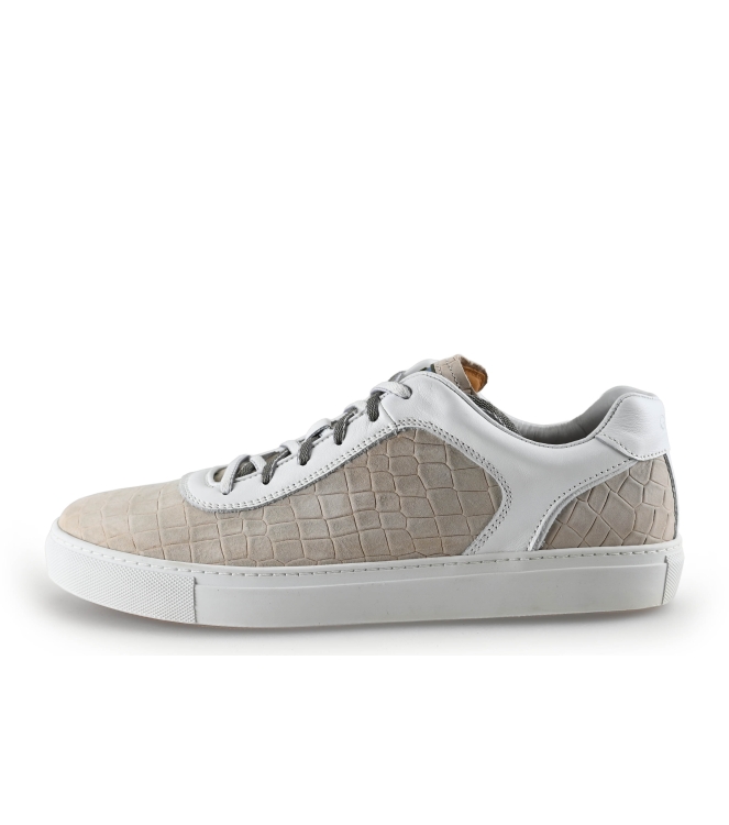Greve Sneaker