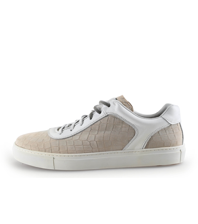 Greve Sneaker