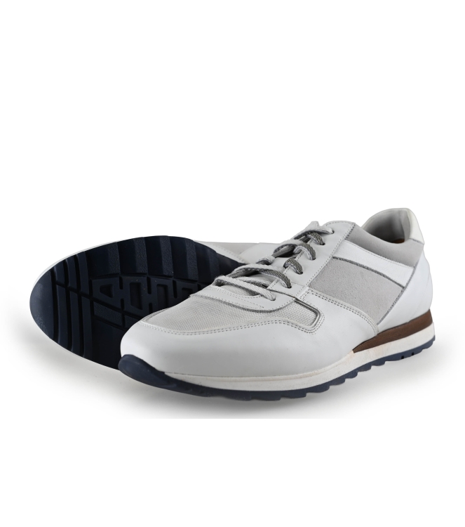Greve Sneaker