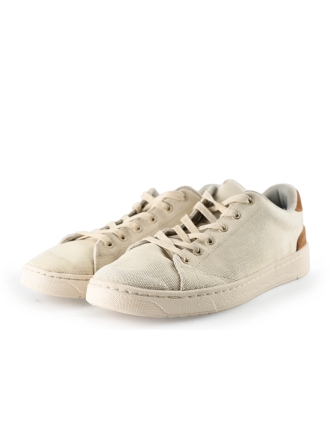 Toms Sneaker Beige 293673
