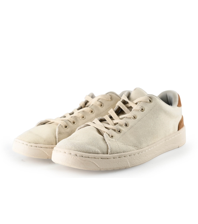 Toms Sneaker