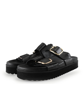 Nelson Flip-Flops