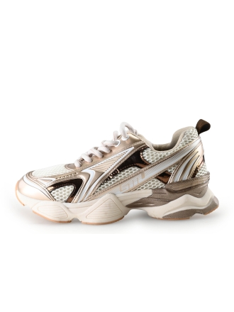 Steve Madden Sneaker