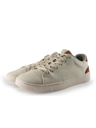 Toms Sneaker Beige 293716