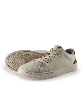 Toms Sneaker