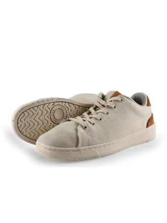 Toms Sneaker
