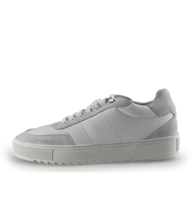 Sacha Sneaker