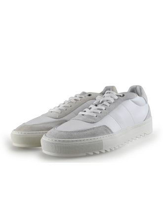 Sacha Sneaker