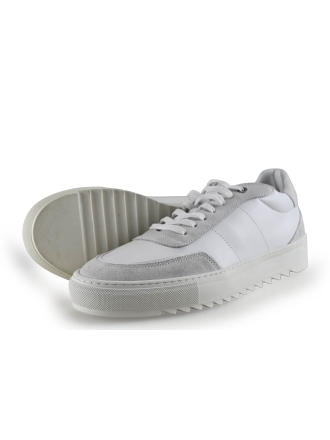 Sacha Sneaker