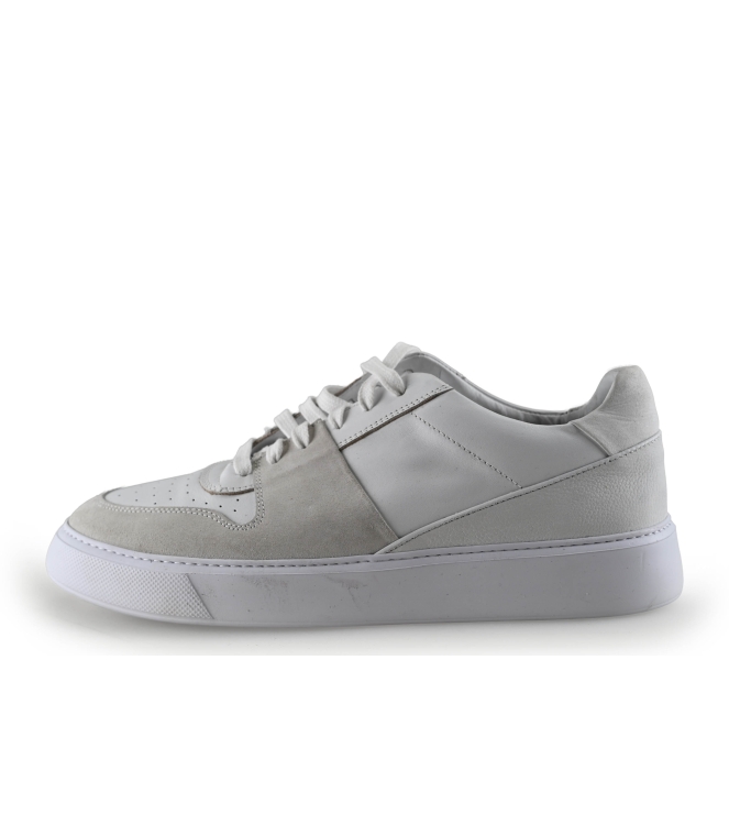 Sacha Sneaker