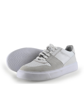 Sacha Sneaker