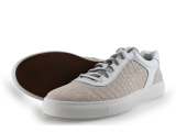 Greve Sneaker