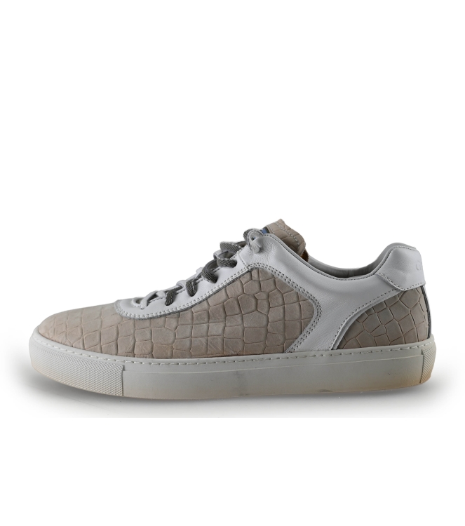 Greve Sneaker