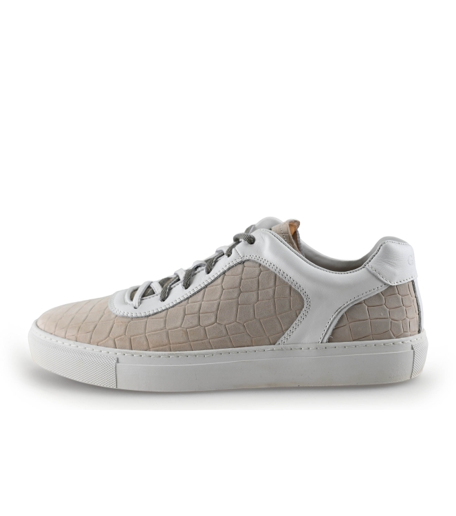 Greve Sneaker