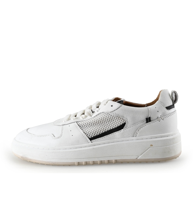 Clay Sneaker