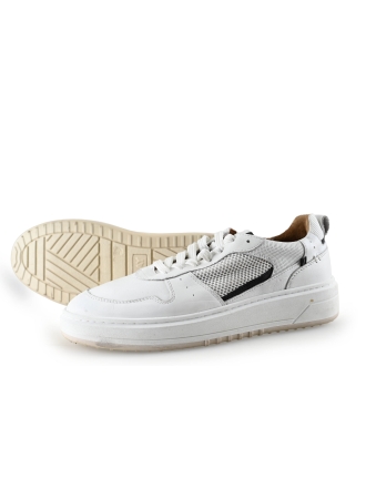Clay Sneaker