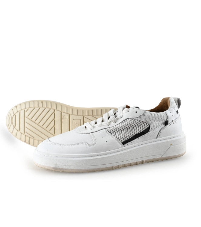 Clay Sneaker