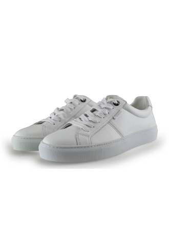 Manfield Sneaker