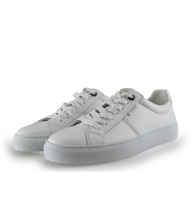 Manfield Sneaker