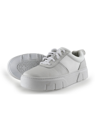 Timberland Sneaker