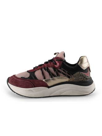 Poelman Sneaker Rot 294209