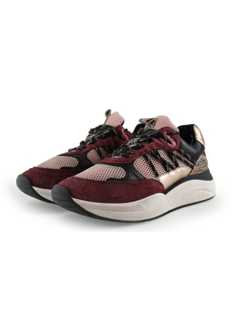 Poelman Sneaker Rot 294209