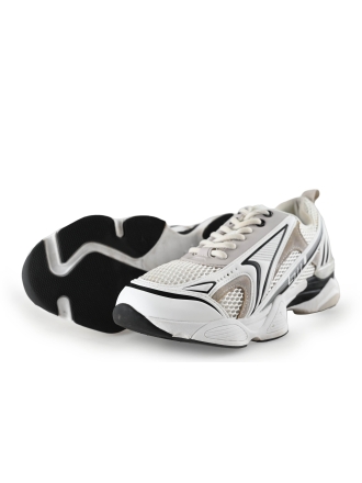 Steve Madden Sneaker