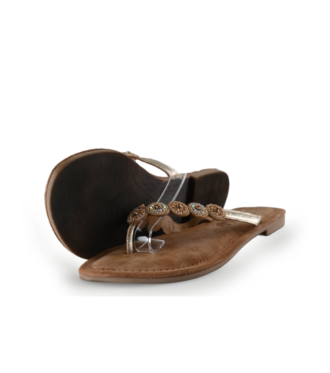 Lazamani Flip-Flops