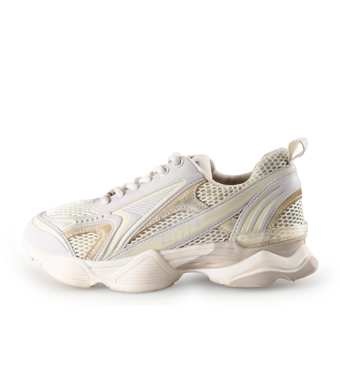 Steve Madden Sneaker