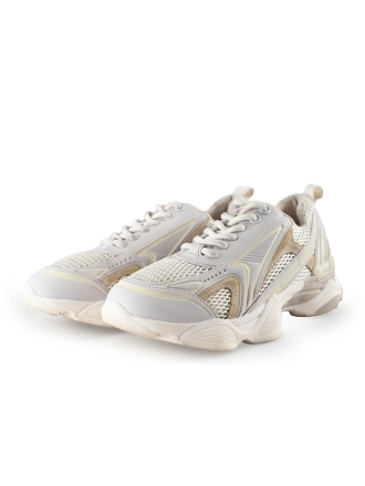 Steve Madden Sneaker