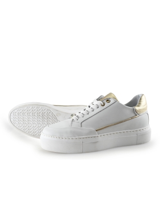 Notion1 Sneaker