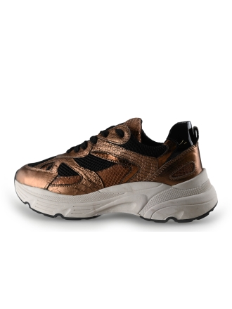 Lina Locchi Sneaker Bronze 295193