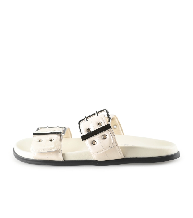 Toral Flip-Flops
