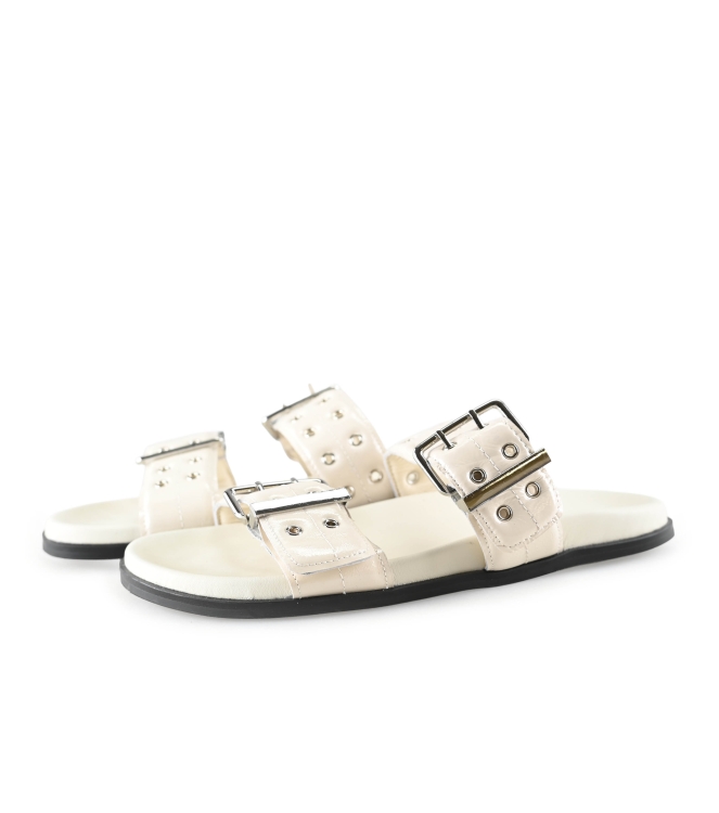 Toral Flip-Flops