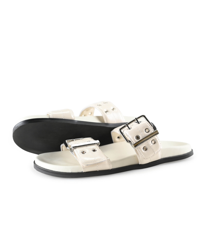 Toral Flip-Flops