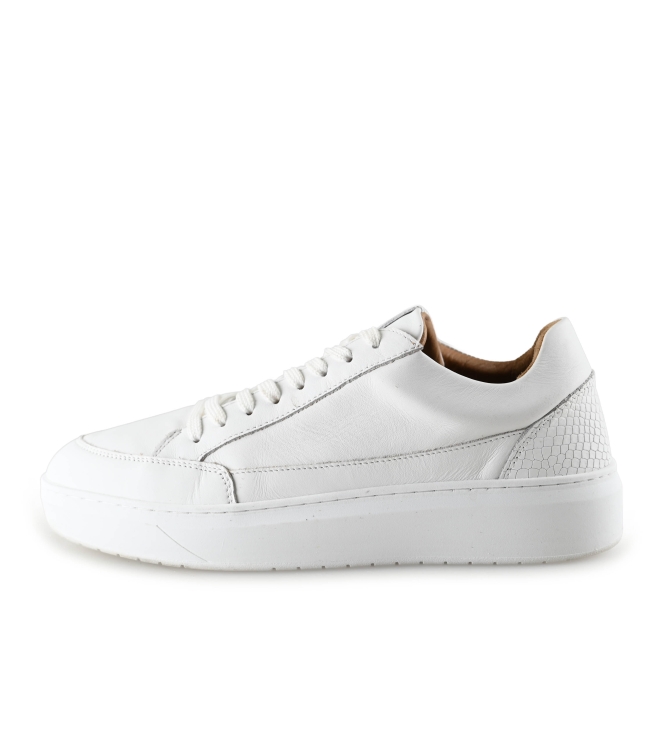 Clay Sneaker