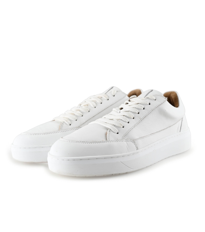Clay Sneaker