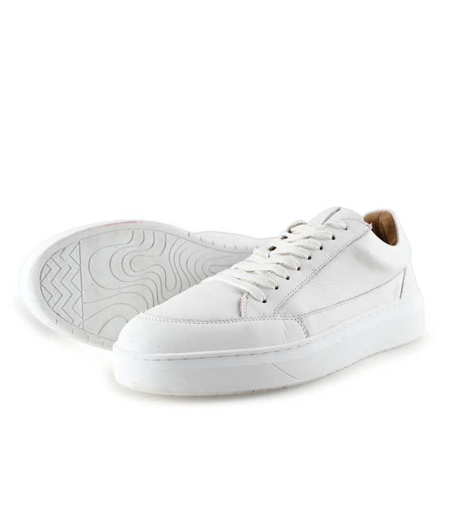 Clay Sneaker