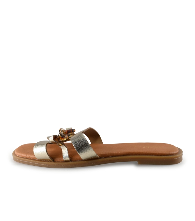 Notre-V Flip-Flops