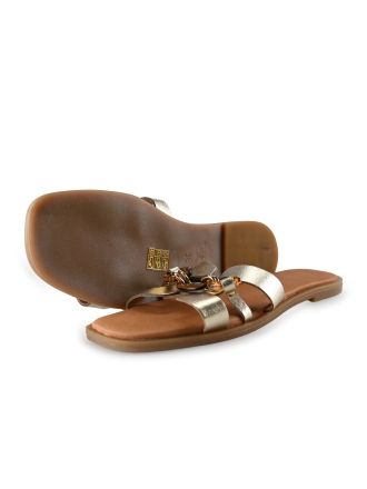 Notre-V Flip-Flops