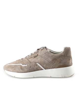 Greve Sneaker