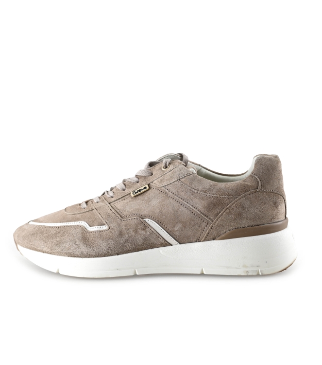Greve Sneaker