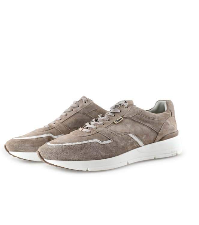 Greve Sneaker