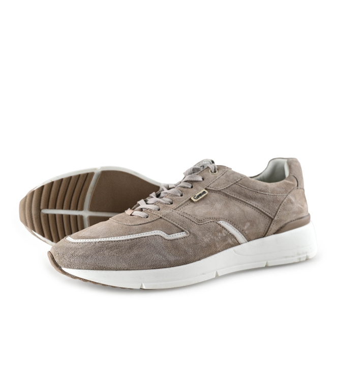 Greve Sneaker