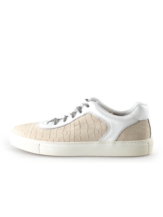 Greve Sneaker Beige 296079