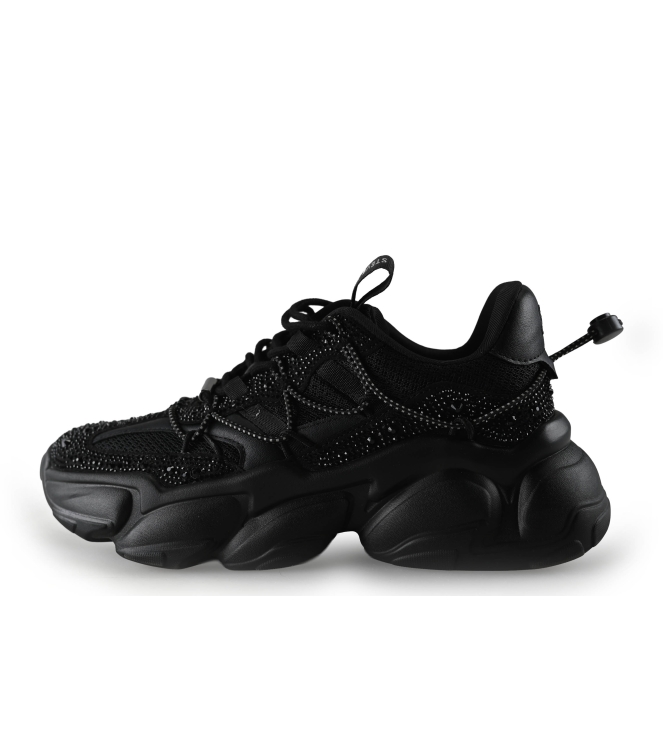 Steve Madden Sneaker