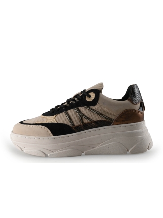 Nelson Sneaker Beige 296264