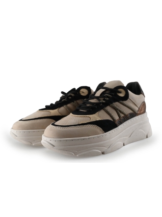 Nelson Sneaker Beige 296264